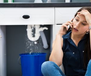 About Emergency plumbing pros Tracys Landing, MD